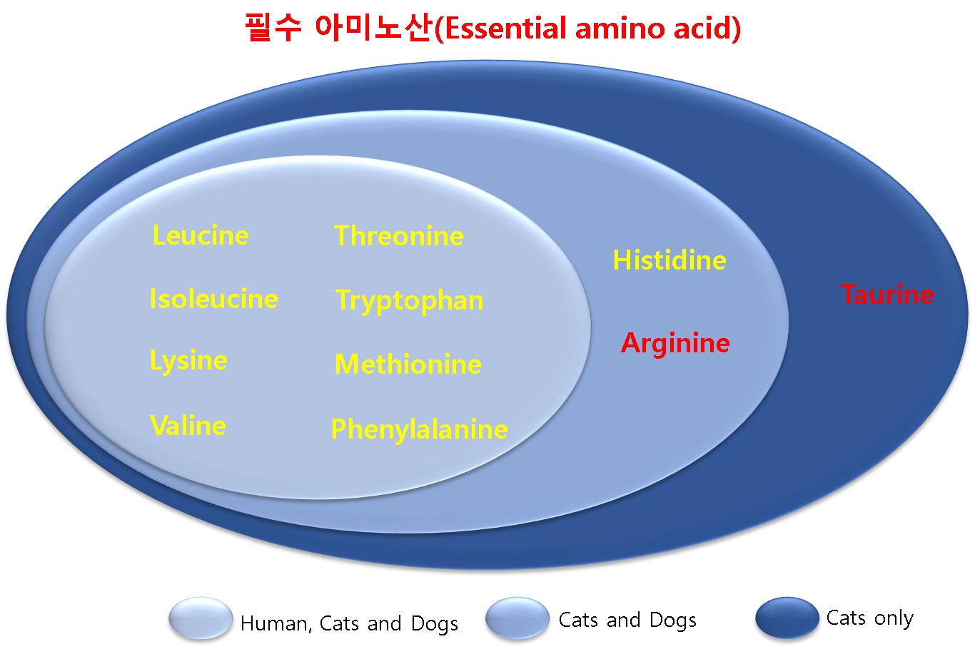 Cat figure 1